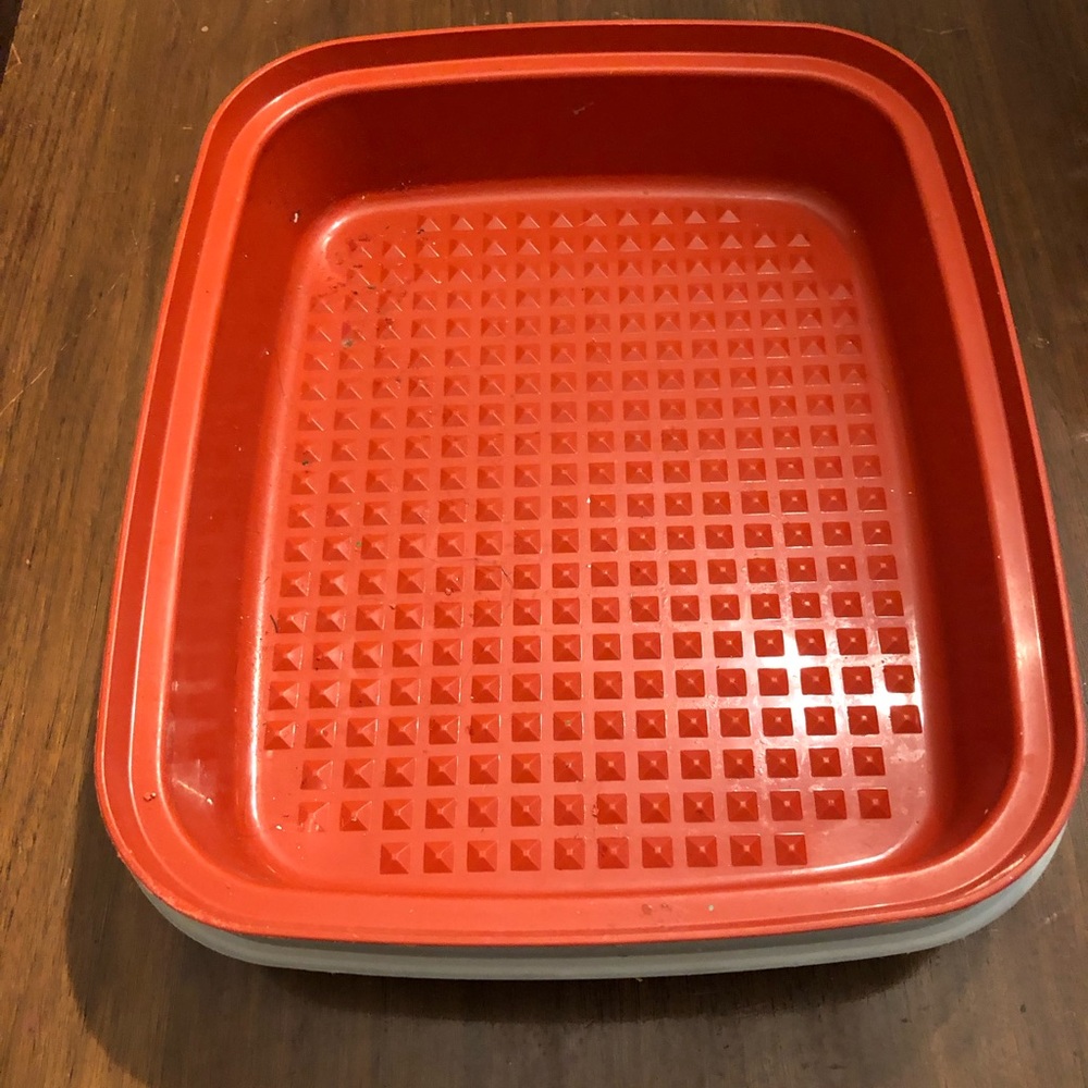Tupperware marinating tray